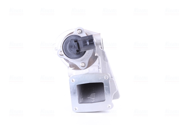 NISSENS AGR-Ventil 98189 für RENAULT
