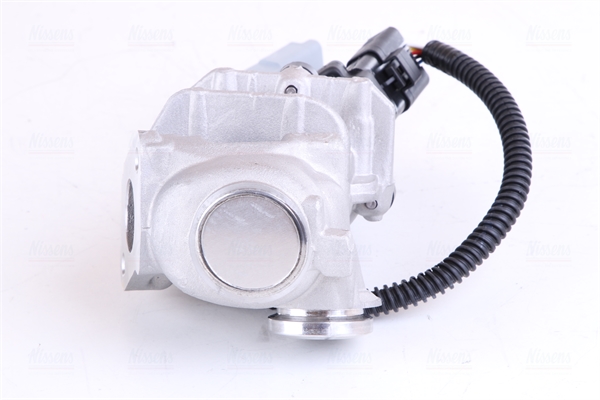 NISSENS AGR-Ventil 98244 für Ford Volvo