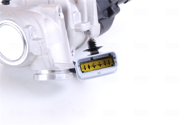 NISSENS AGR-Ventil 98245 für Ford