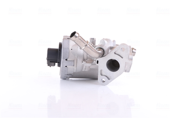 NISSENS AGR-Ventil 98165 für Ford