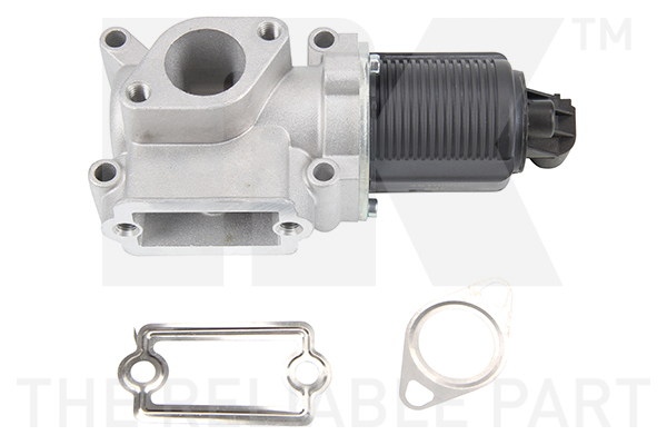 NK AGR-Ventil 4510002 für Fiat