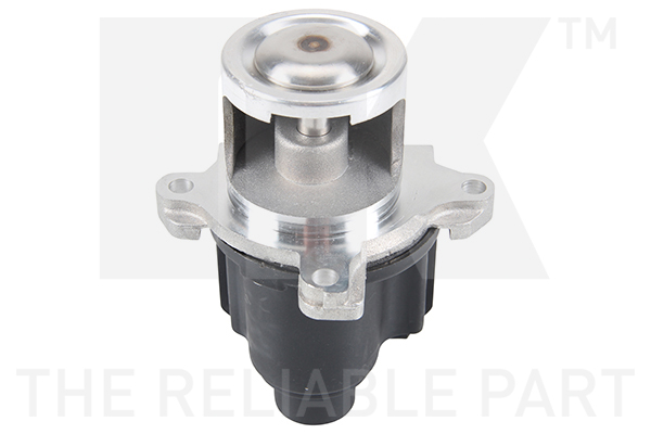 NK AGR-Ventil 4547025 für VW Porsche