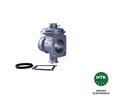 NTK (NGK-GROUP) AGR-Ventil 95717 für BMW