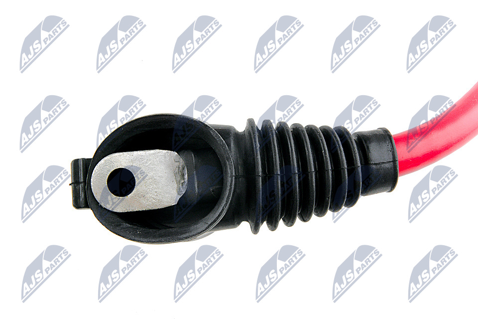 NTY Batterieaufnahme ebpbm004 für BMW