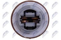 NTY Lampenfassung, Blinkleuchte, Art.-Nr. EZ-CH-000