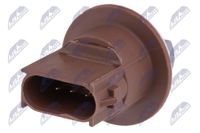 NTY Lampenfassung, Blinkleuchte, Art.-Nr. EZ-CH-000