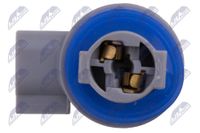 NTY Lampentr�ger, R�ckfahrleuchte, Art.-Nr. EZ-CH-001