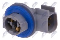 NTY Lampentr�ger, R�ckfahrleuchte, Art.-Nr. EZ-CH-001