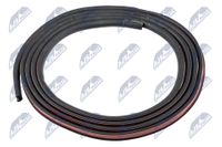 NTY Dichtung, Schiebedach, Art.-Nr. EZC-BM-258