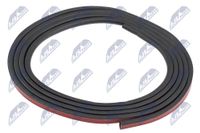 NTY Dichtung, Schiebedach, Art.-Nr. EZC-BM-258