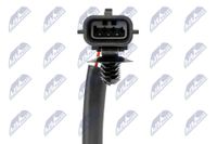 NTY Wassersensor, Kraftstoffanlage, Art.-Nr. ECW-RE-004