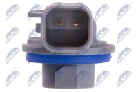 NTY Lampentr�ger, R�ckfahrleuchte, Art.-Nr. EZ-CH-001
