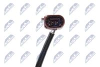 NTY Sensor, Abgastemperatur, Art.-Nr. EGT-SK-004