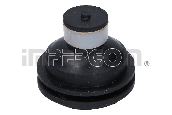 ORIGINAL IMPERIUM Lagerung, Motor 31651 vorne für DACIA RENAULT