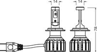 OSRAM Gl�hlampe, Fernscheinwerfer, Art.-Nr. 64210DWNBST-2HB