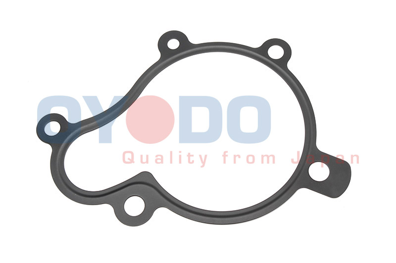 OYODO Dichtung, Wasserpumpe 10c0332oyo für KIA