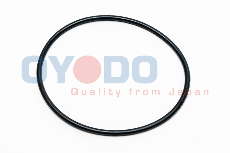 OYODO Dichtung, Wasserpumpe 10c0017oyo für Opel DAEWOO