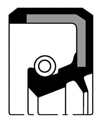 PAYEN Wellendichtring, Nockenwelle nf808 für NISSAN Fiat