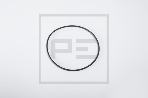 PE AUTOMOTIVE Dichtring 06617600a