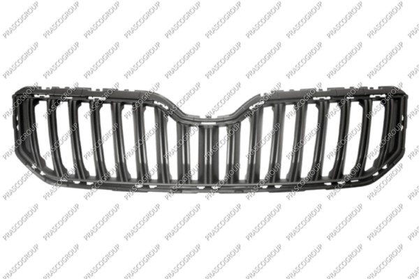 Prasco Kühlergitter Sk7122001 Für Skoda