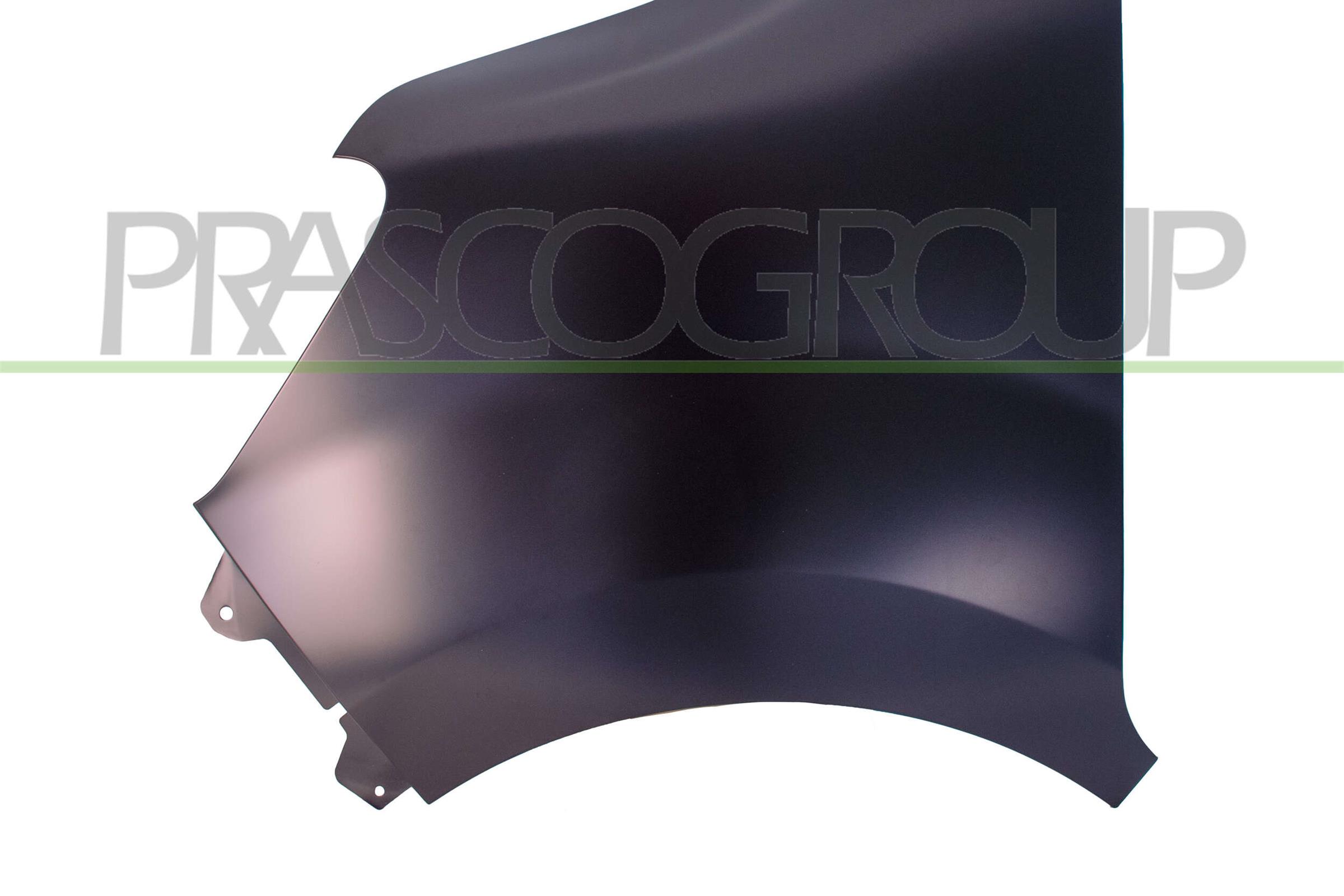 PRASCO Kotflügel rn9583004 vorne links für RENAULT