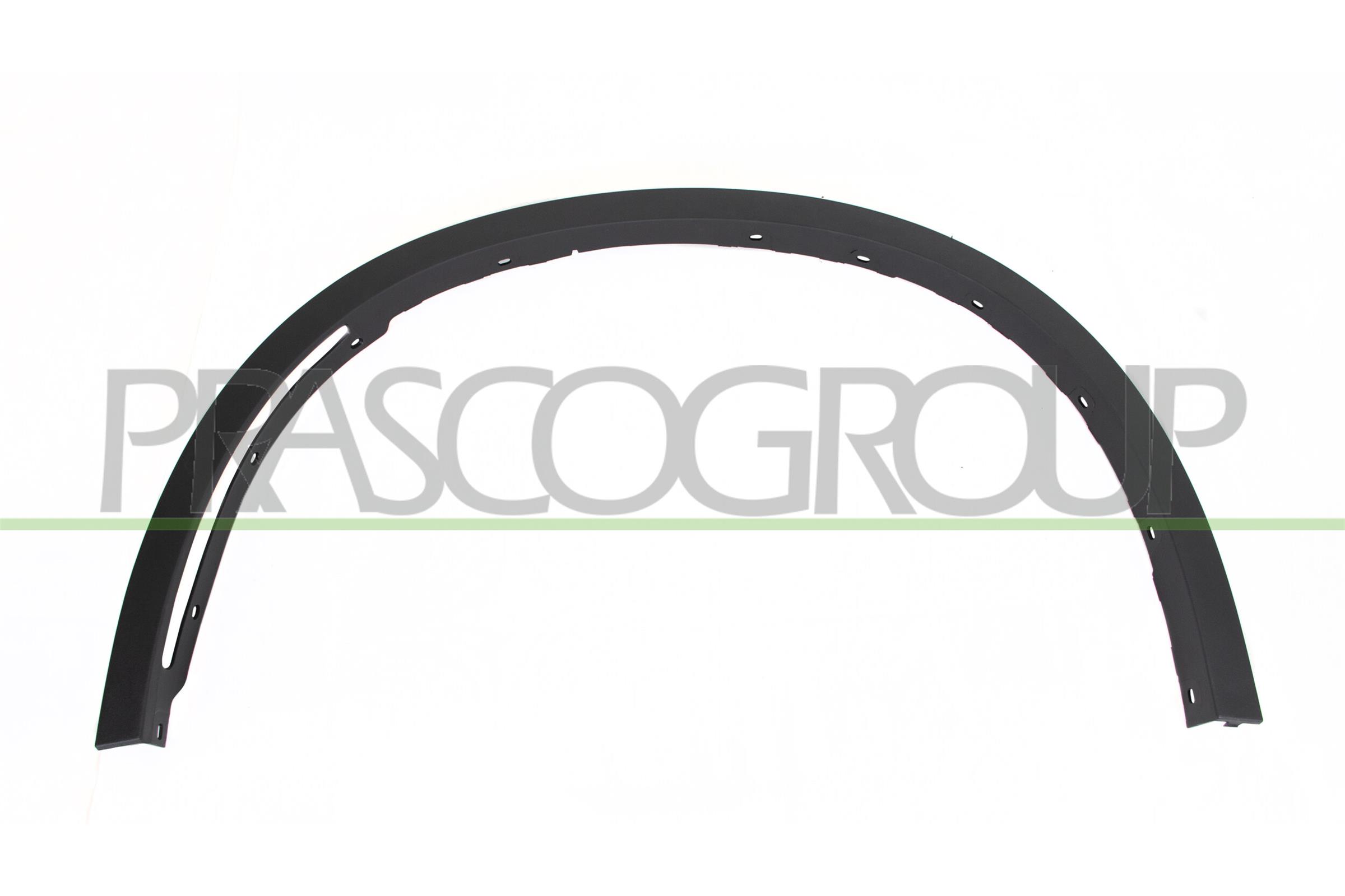 PRASCO Zier-/Schutzleiste, Kotflügel bm8261582 vorne links für BMW
