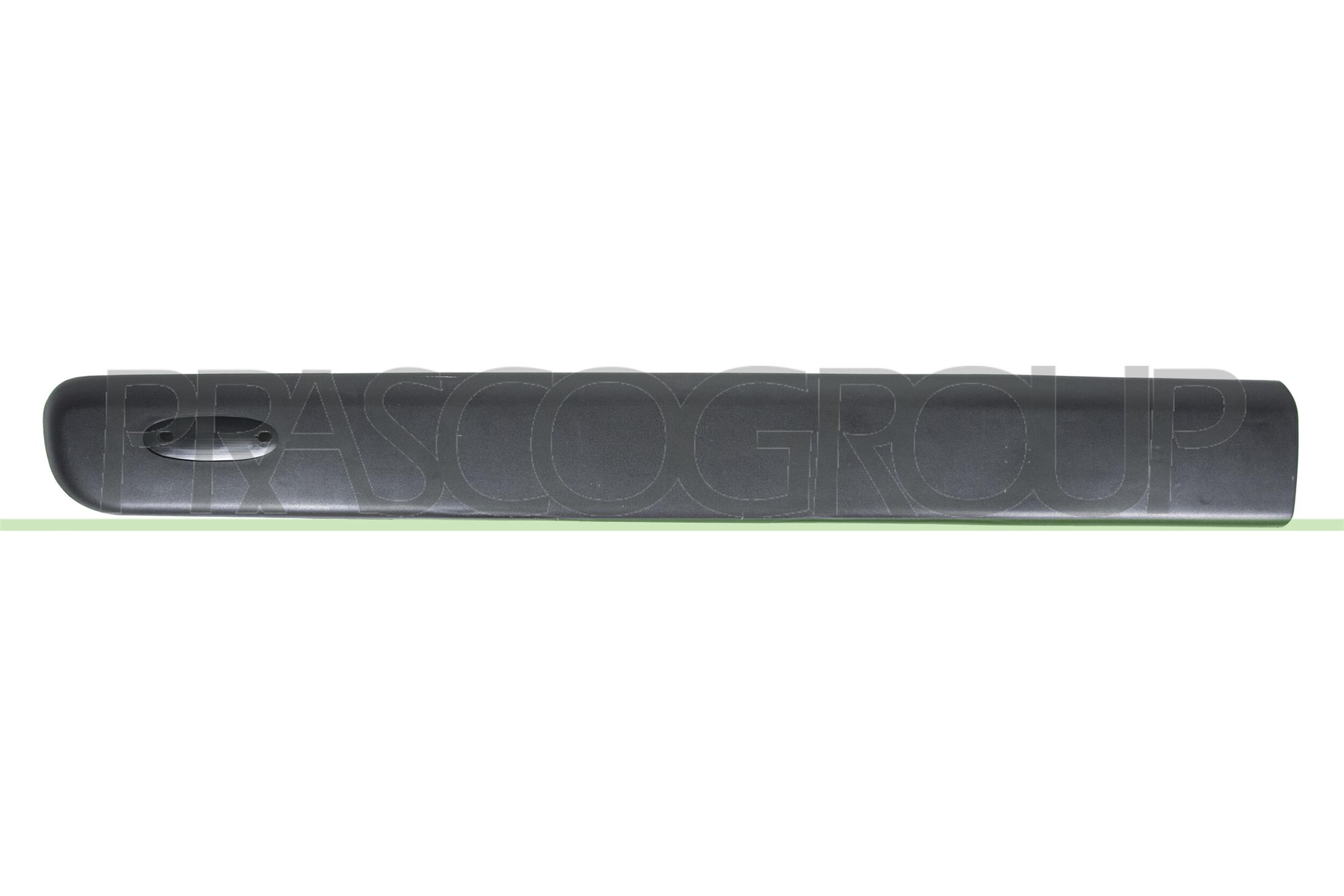 PRASCO Zier-/Schutzleiste, Tür rn9161404 vorne links für RENAULT