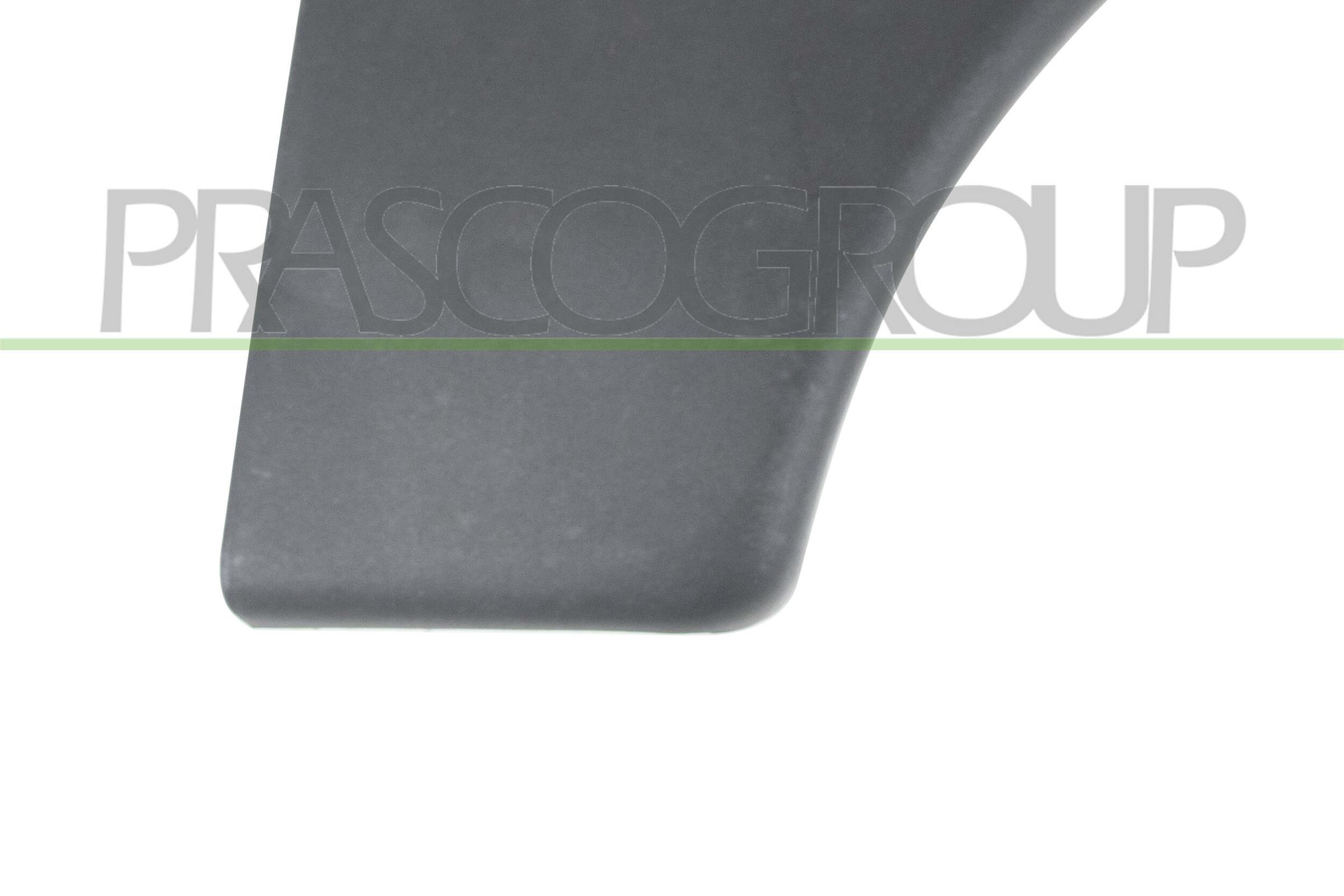 PRASCO Zier-/Schutzleiste, Kotflügel ci9151401 vorne rechts für Citroën