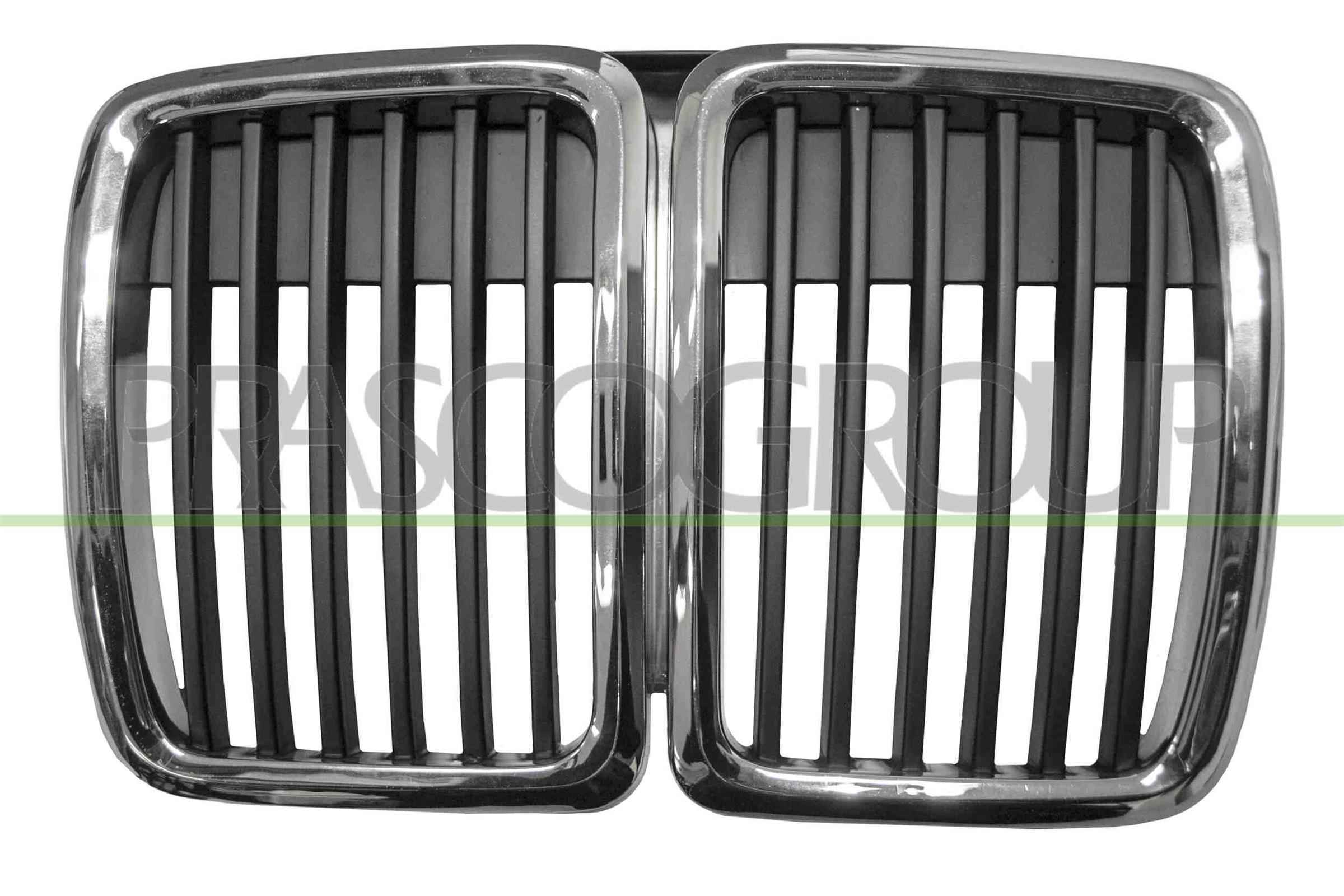 Prasco Kühlergitter Bm0102001 Mitte Für Bmw