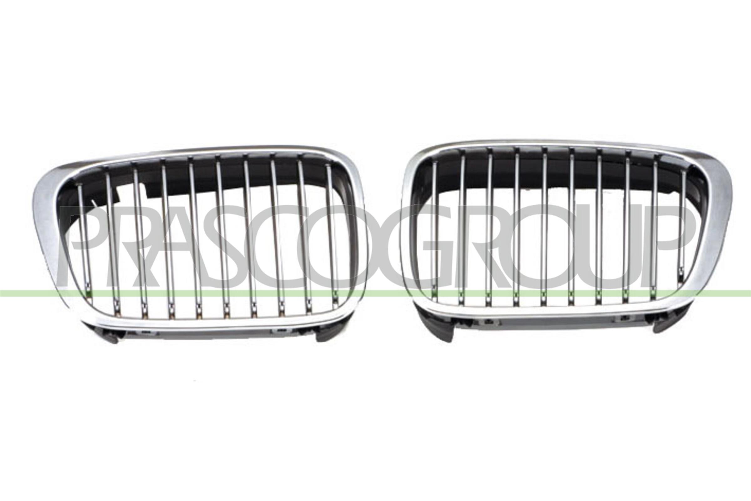 Prasco Kühlergitter Bm0182033 Rechts Für Bmw