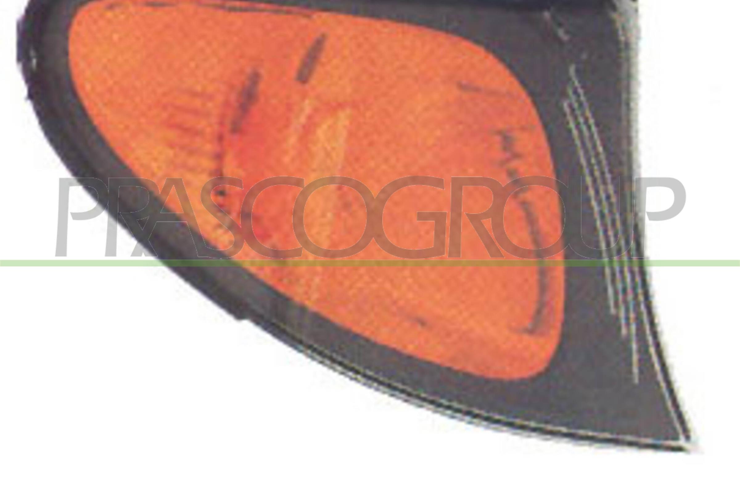 PRASCO Blinkleuchte bm0204003 vorne rechts für BMW