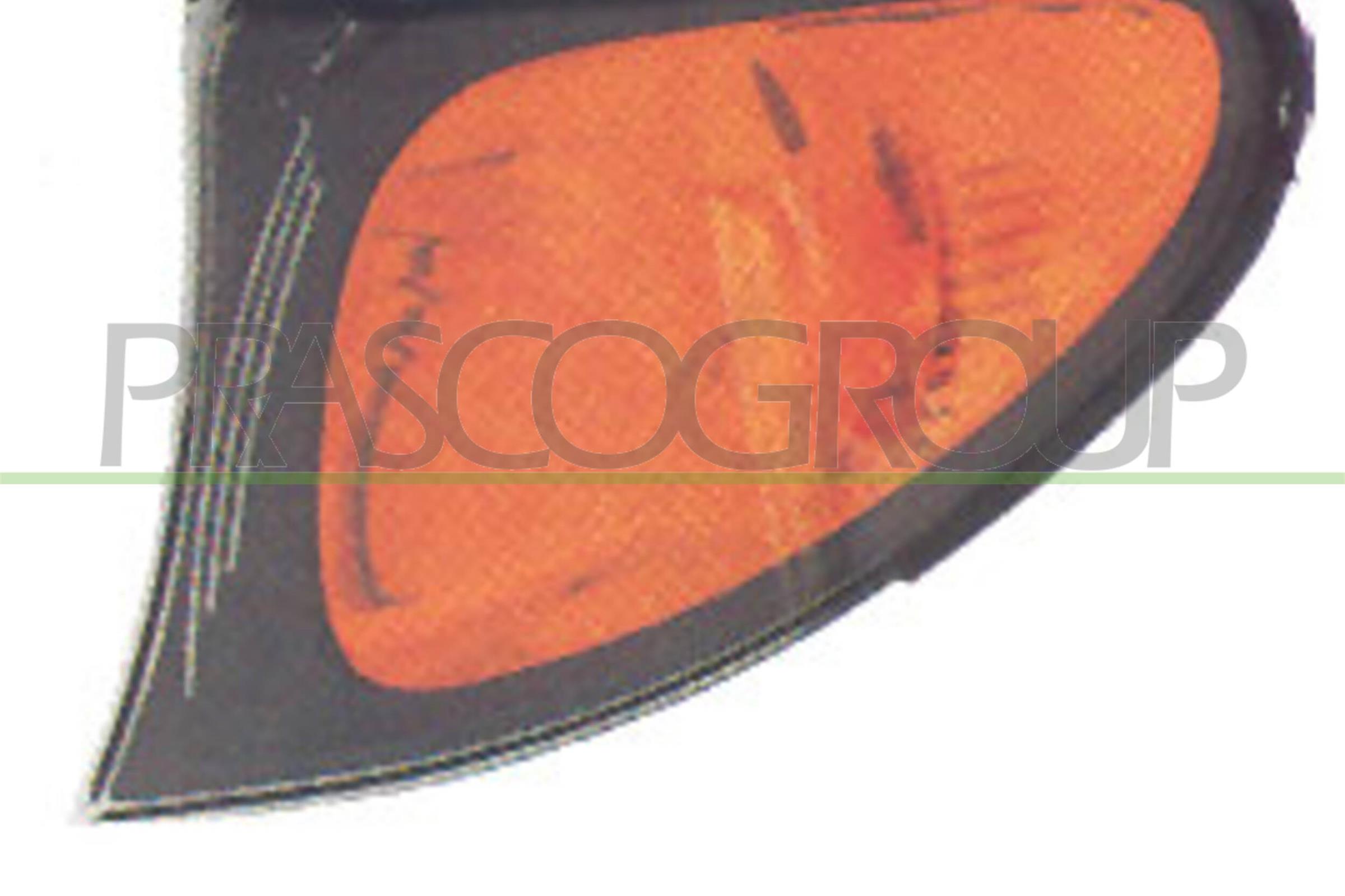 PRASCO Blinkleuchte bm0204004 vorne links für BMW
