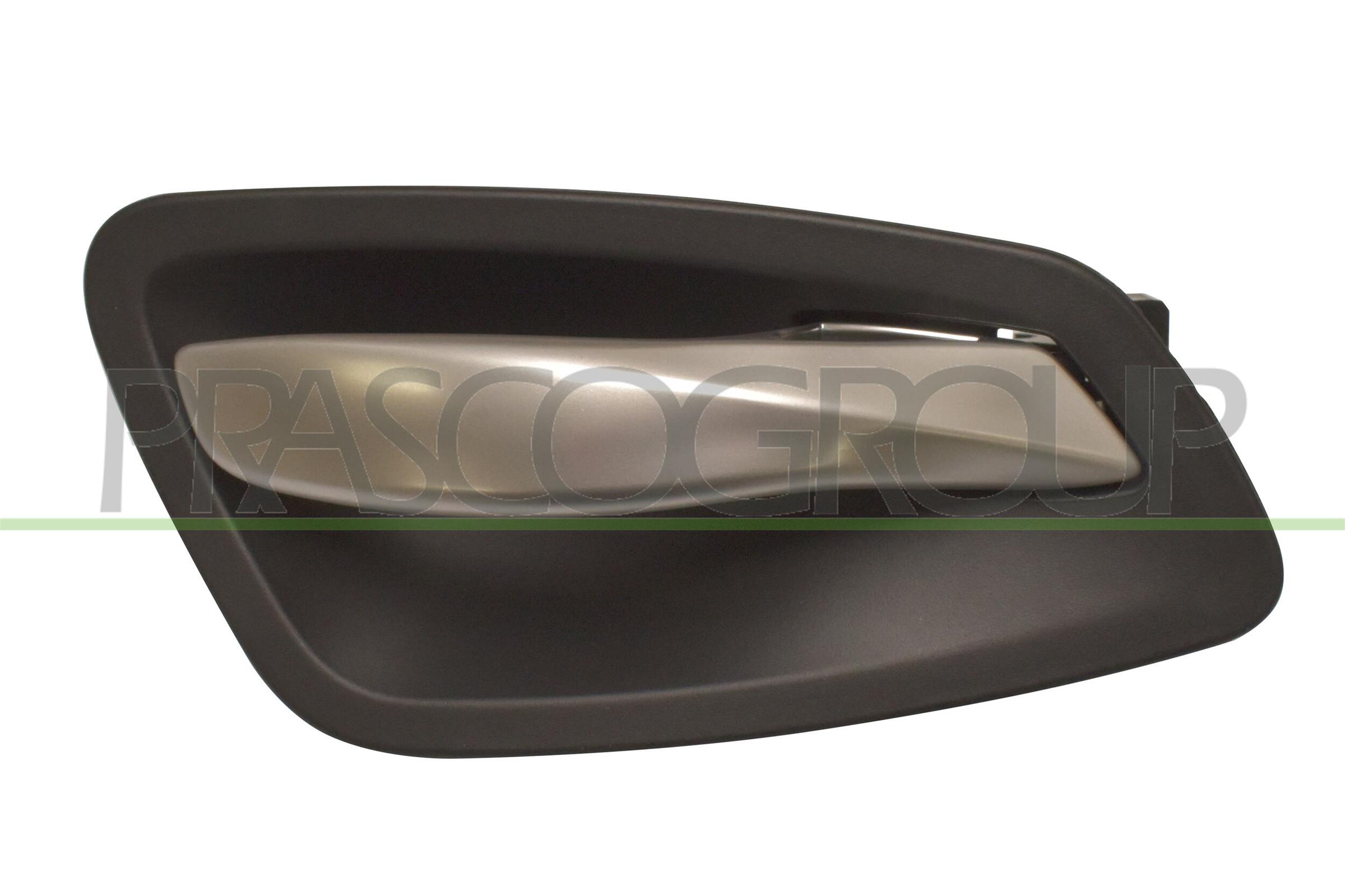 PRASCO Türgriff, Innenausstattung bm0248402 vorne links für BMW