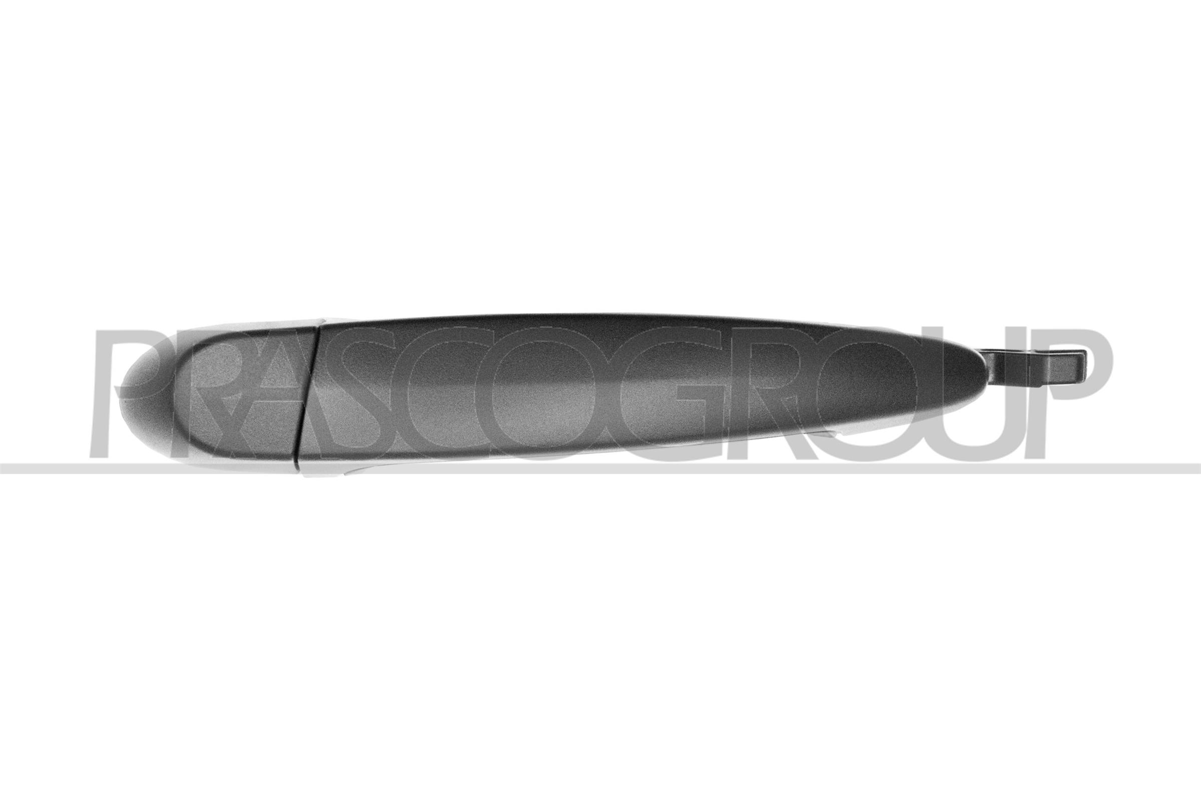 PRASCO Türgriff bm1218102 hinten links für BMW