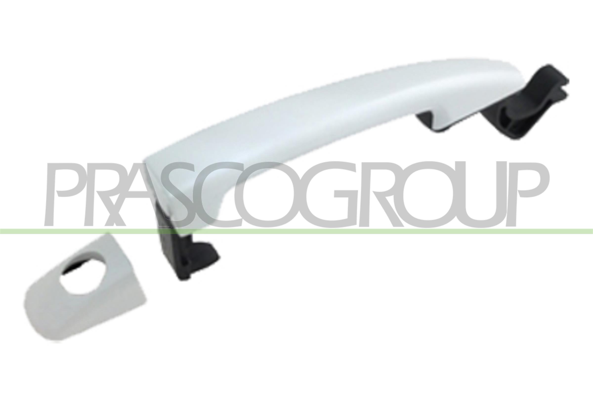 Prasco Türgriff Ci5238004 Vorne Links Für Citroën