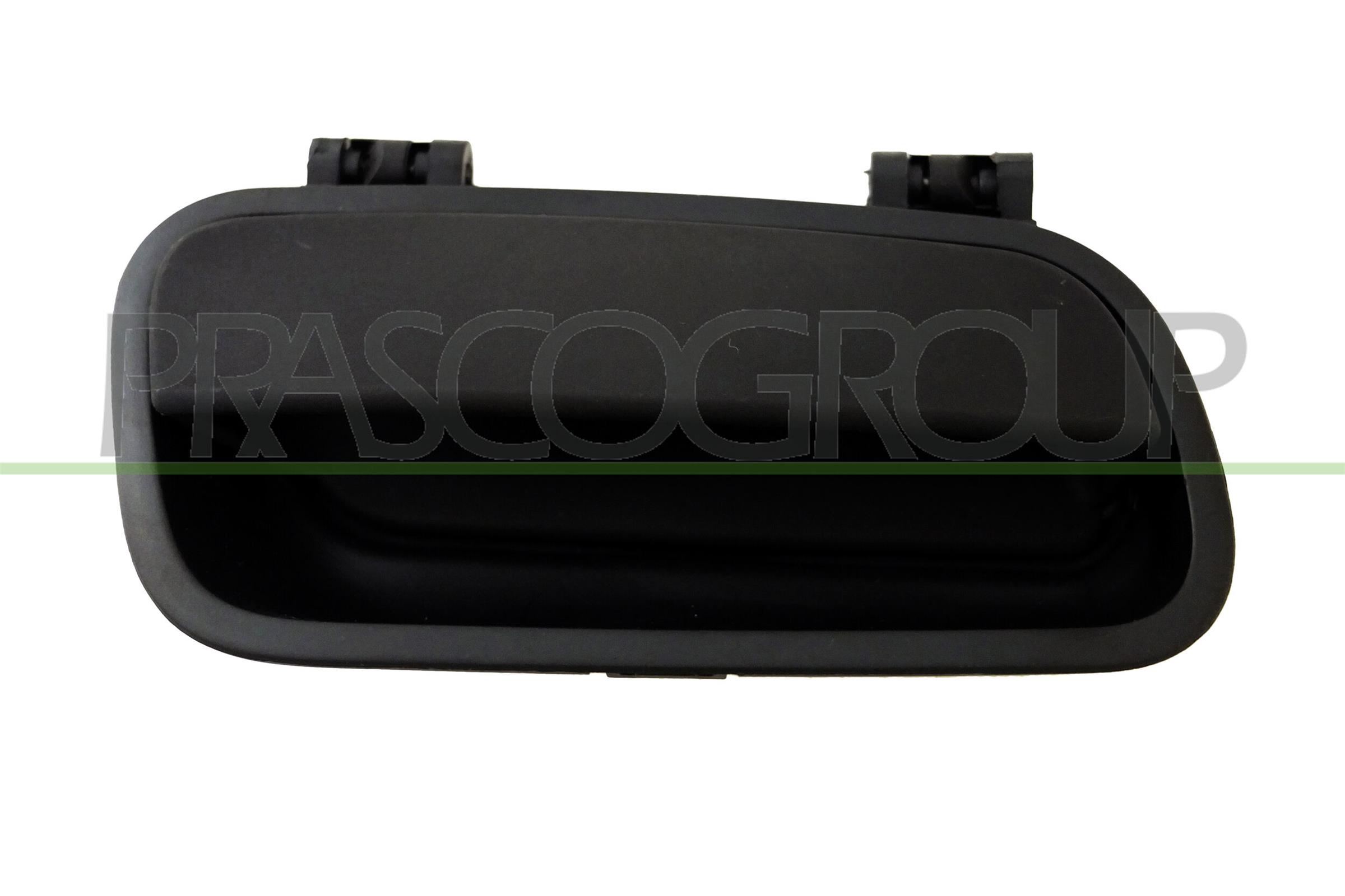 Prasco Türgriff, Innenausstattung Ci9158502 Hinten Links