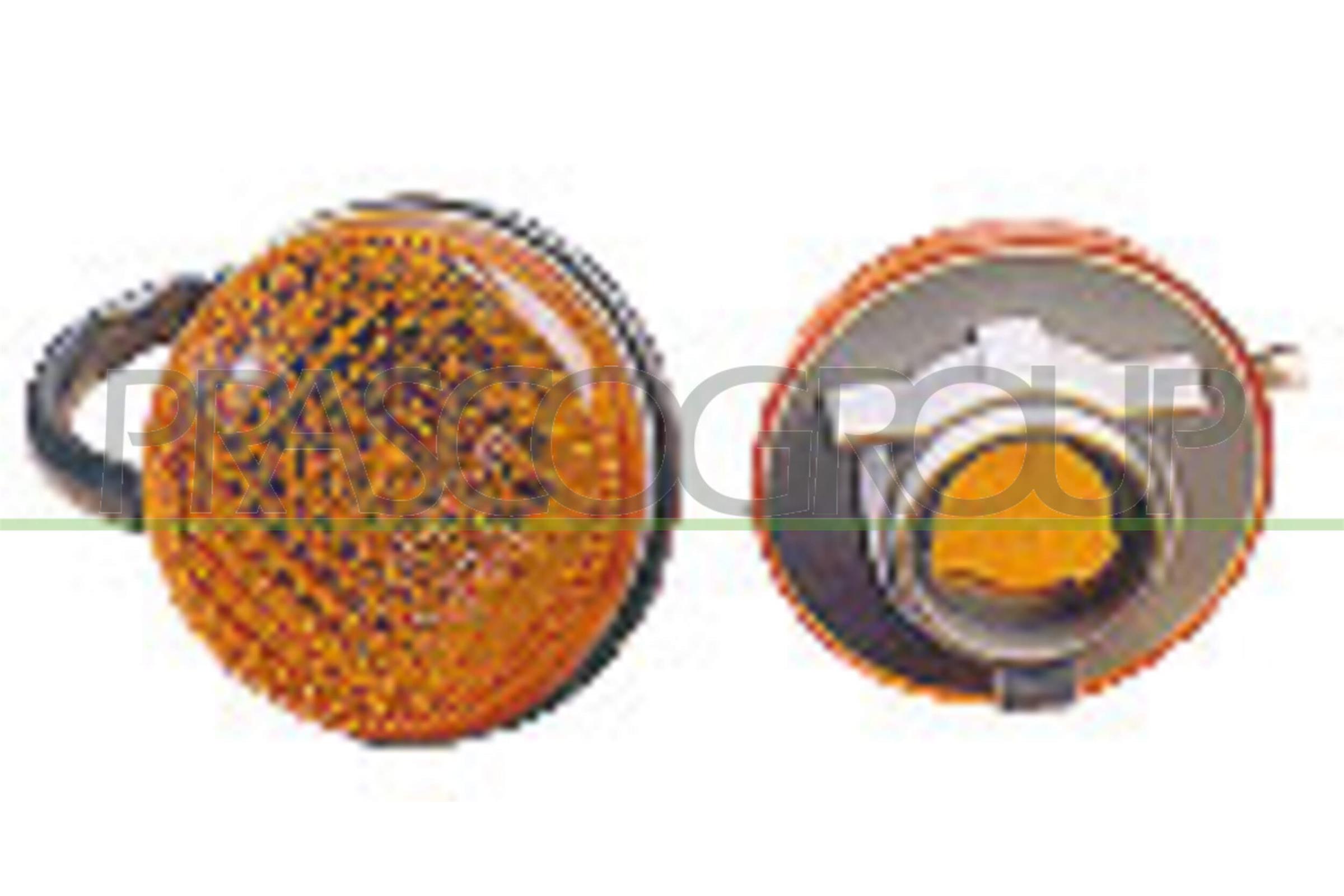 PRASCO Blinkleuchte ds0054139 seitlich für NISSAN