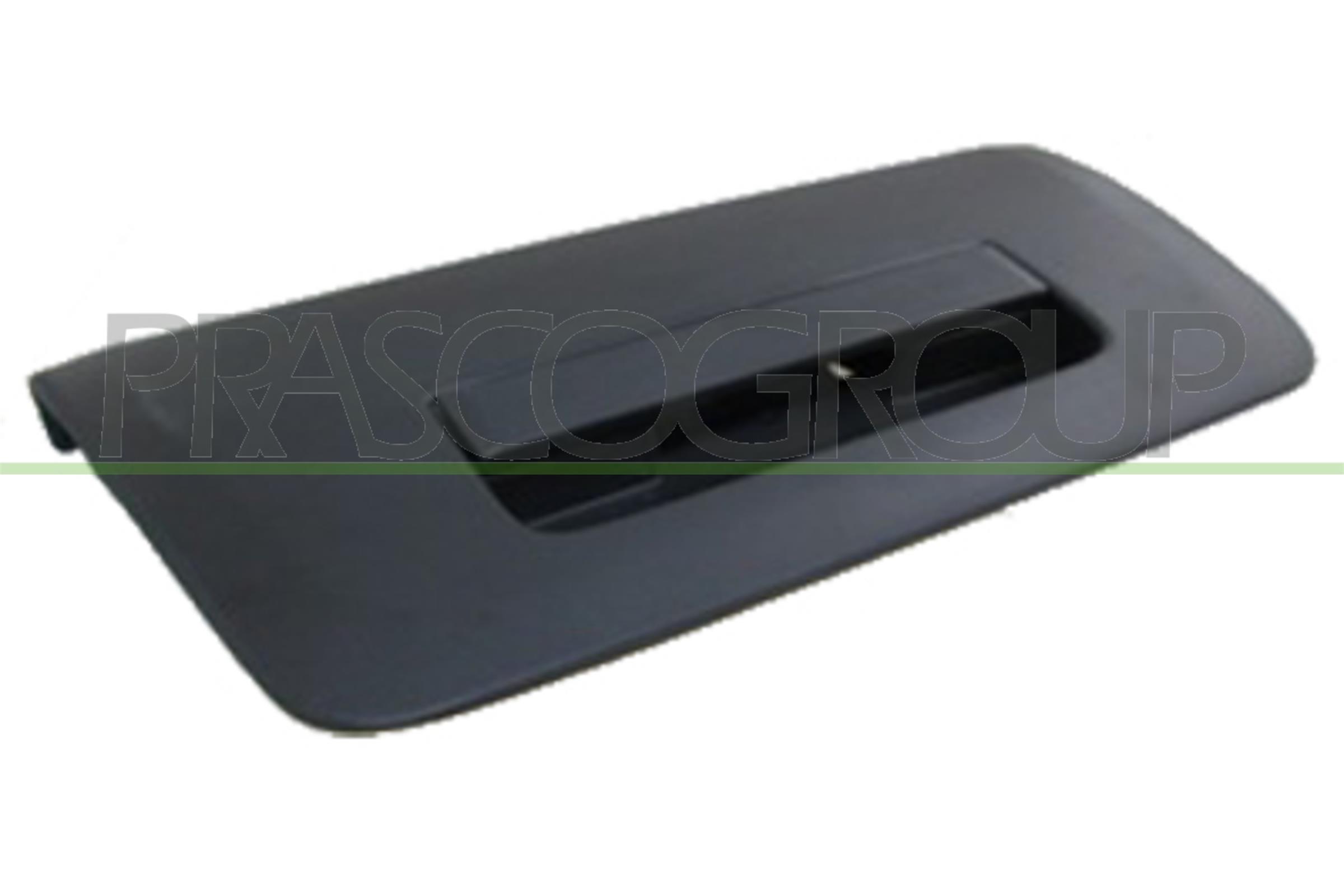 Prasco Türgriff Ds8148301 Fahrzeugheckklappe Für Nissan