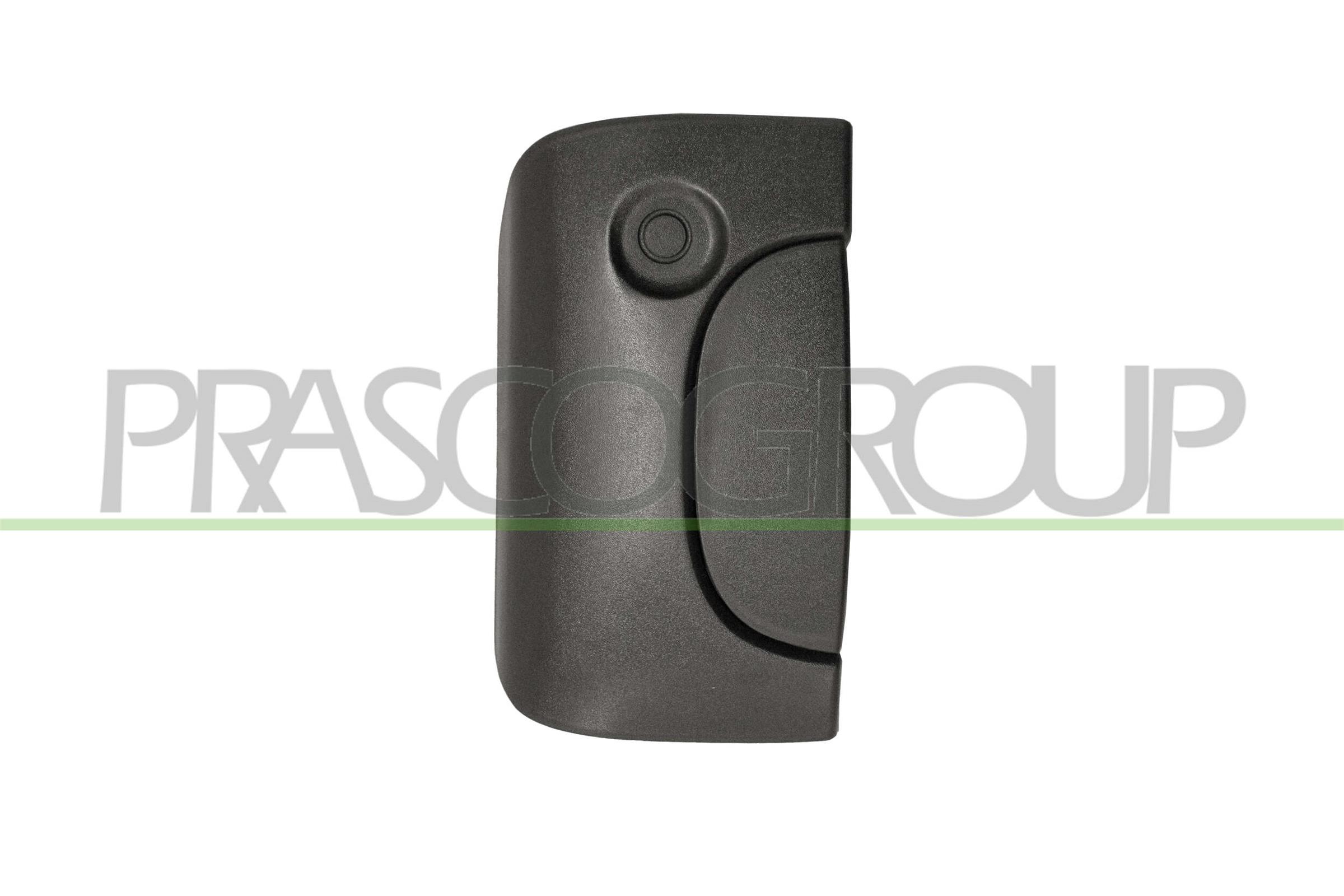 Prasco Ds9178301 Fahrzeughecktür Für Renault