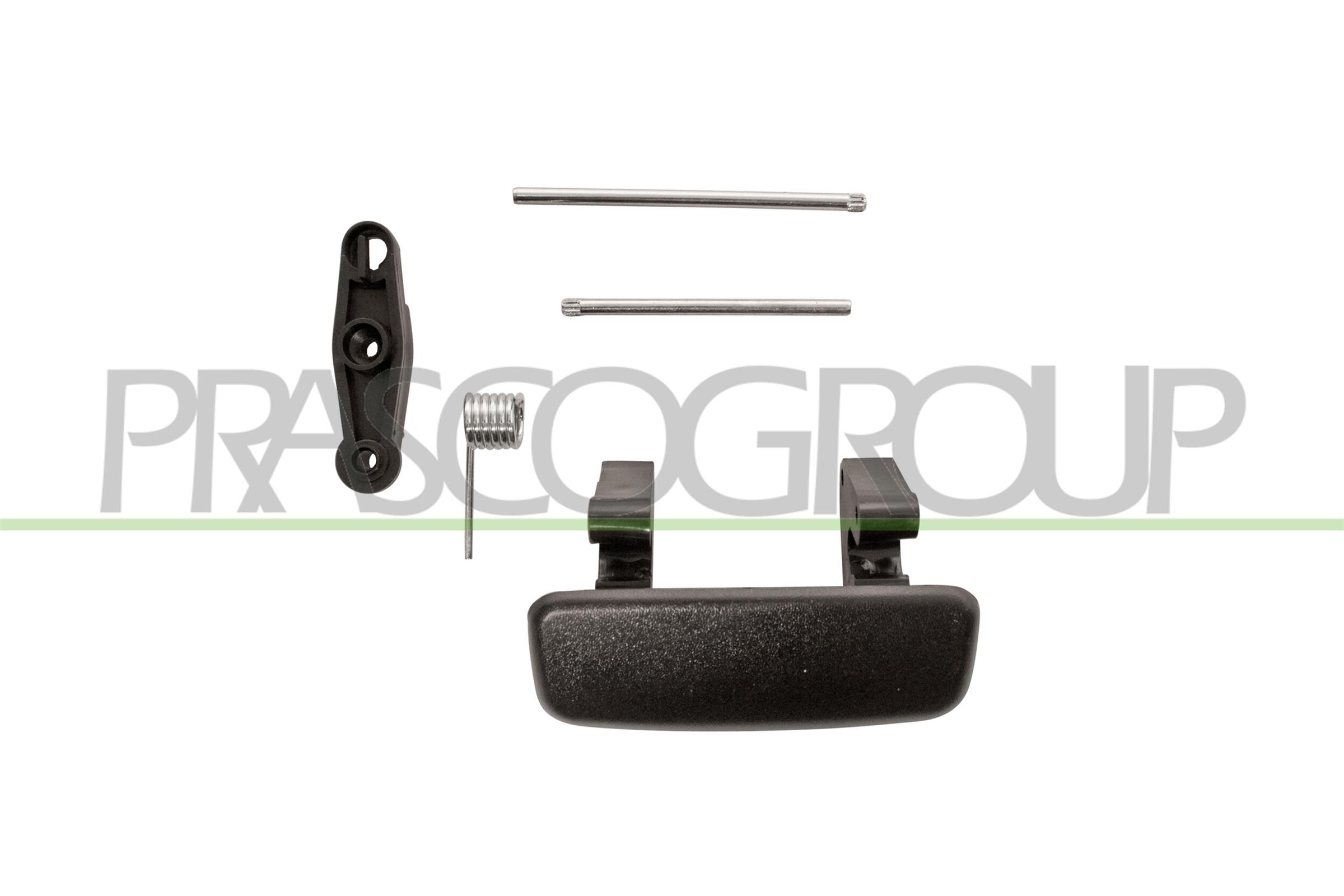 PRASCO Türgriff ds9608801 hinten rechts