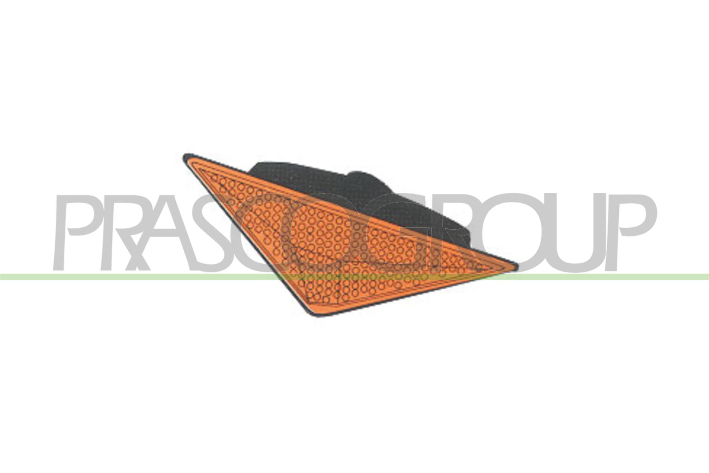 PRASCO Blinkleuchte fd4204139 seitlich für Ford