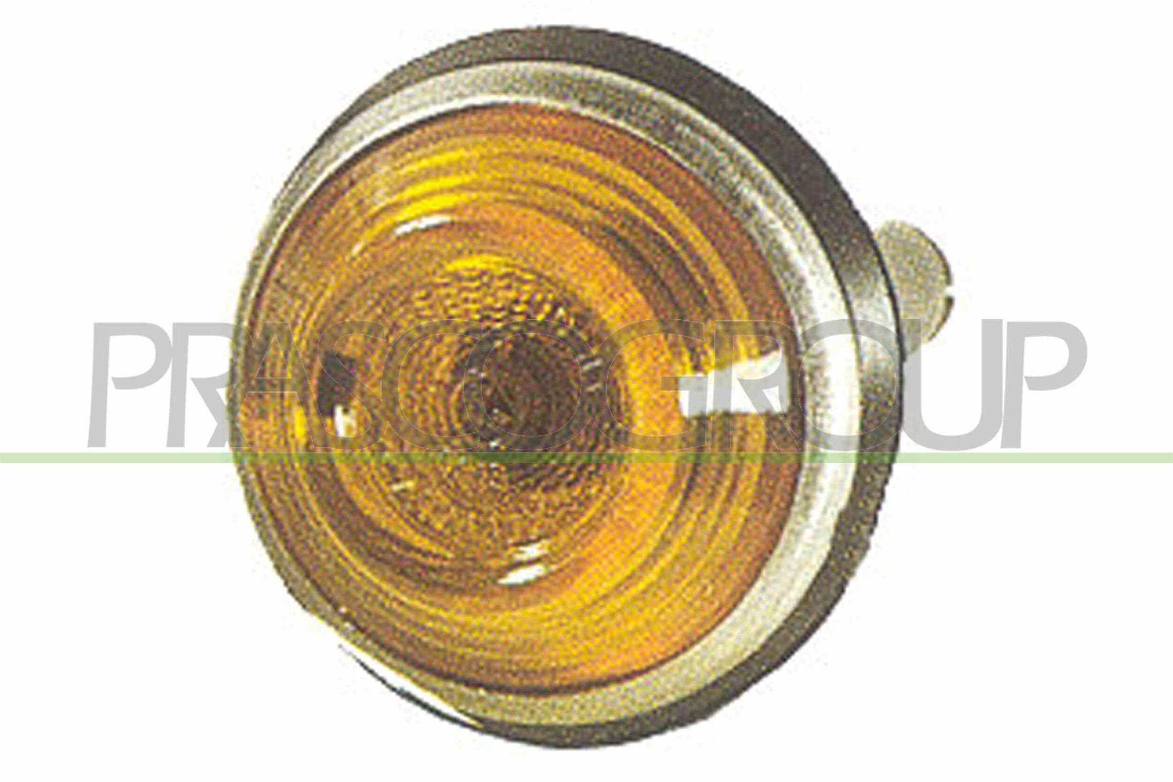 PRASCO Blinkleuchte ft0034039 seitlicher Anbau für Fiat
