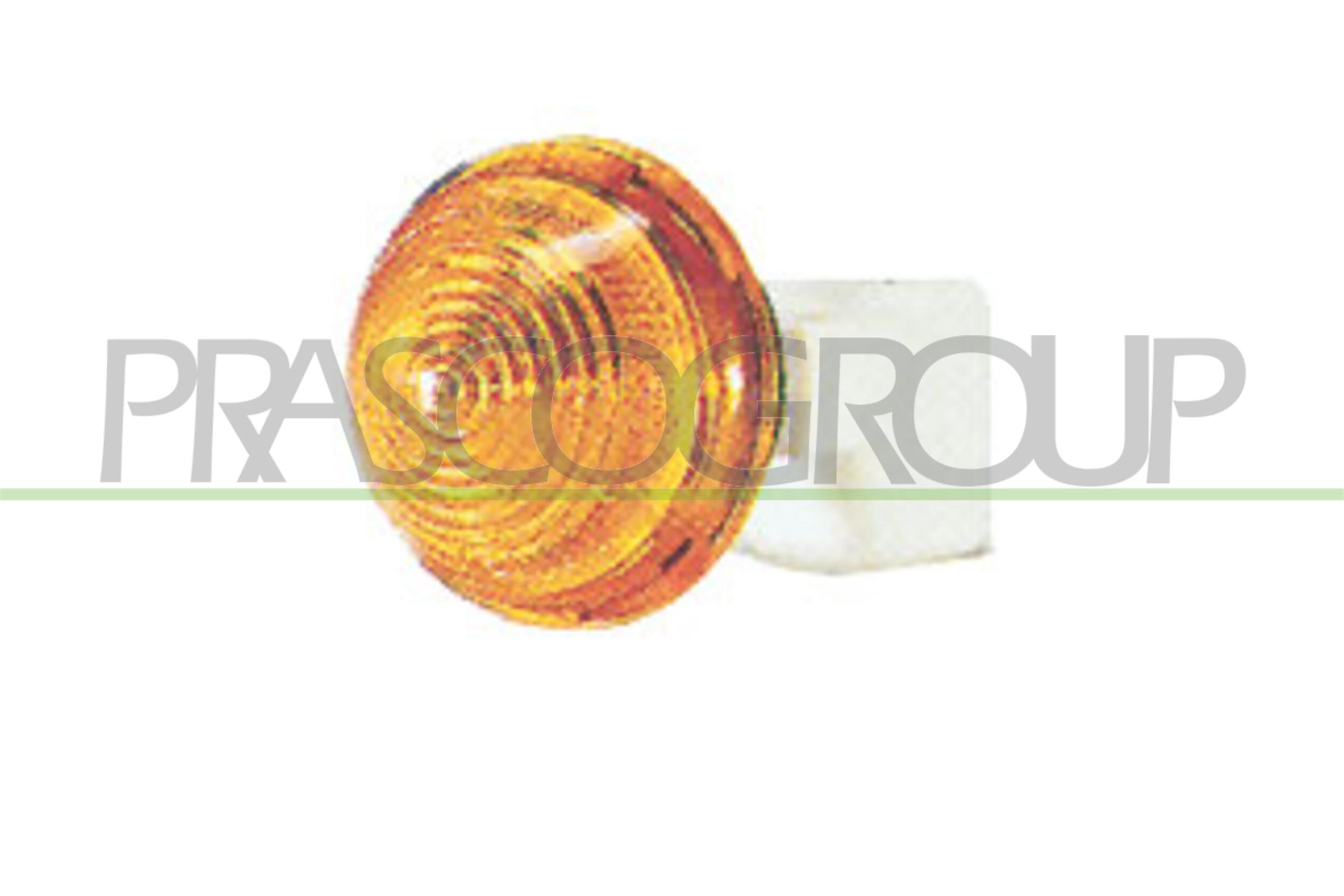 PRASCO Blinkleuchte ft0194039 seitlich für Fiat