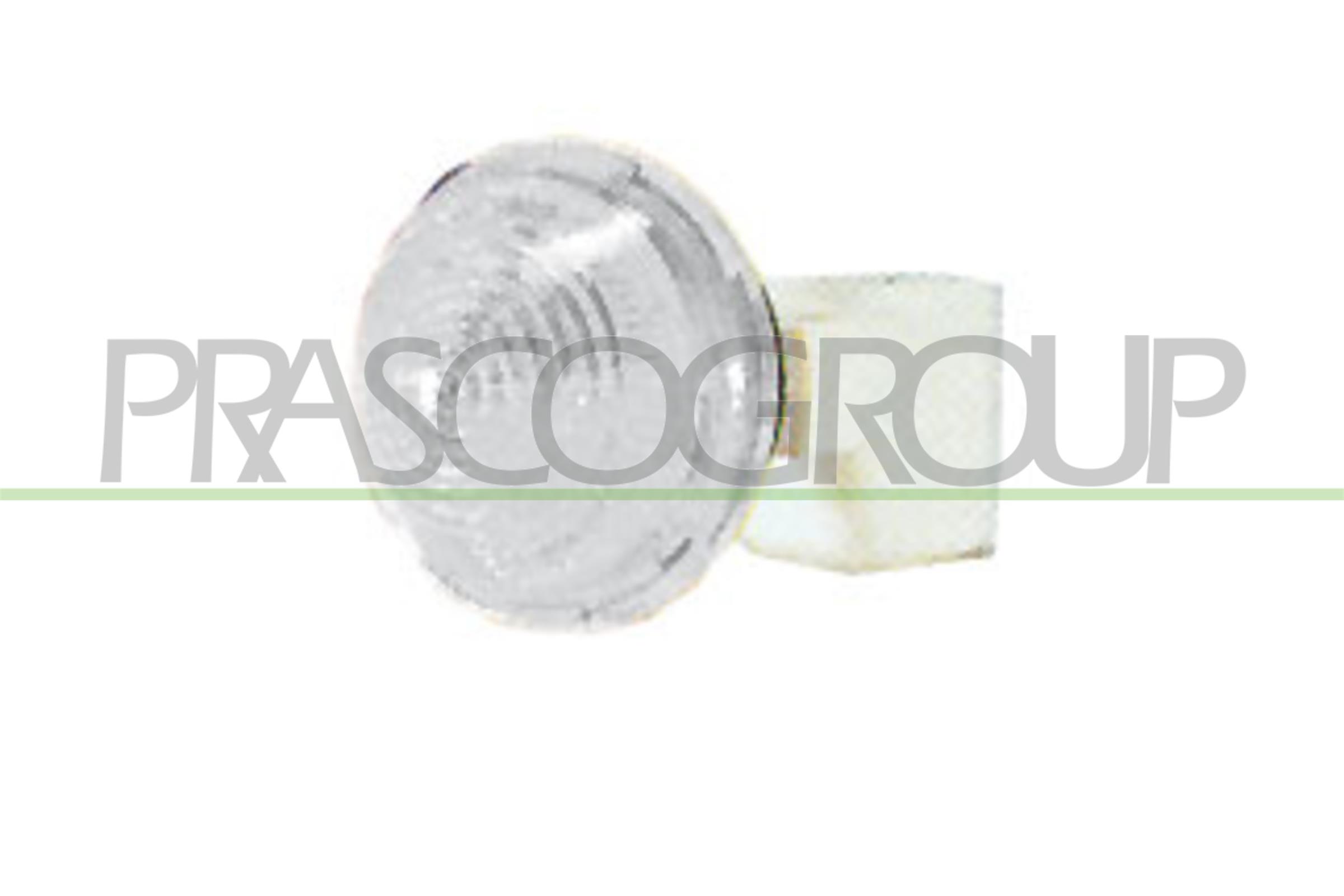 PRASCO Blinkleuchte ft0194041 seitlich für Fiat