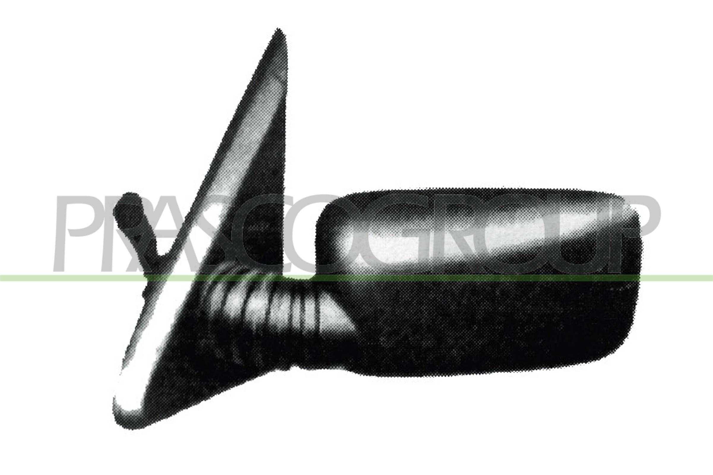 Prasco Außenspiegel Ft1217104 Links Für Fiat