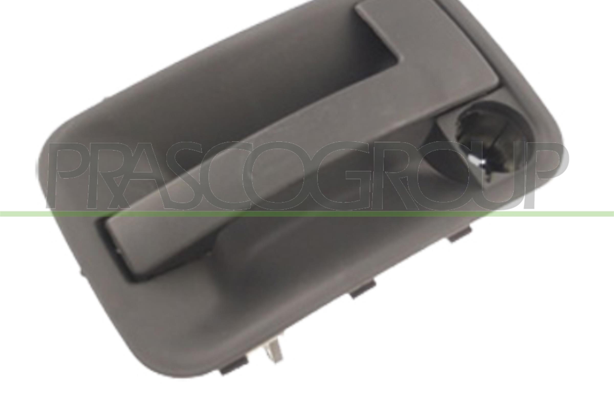 PRASCO Türgriff ft9218102 links für Peugeot