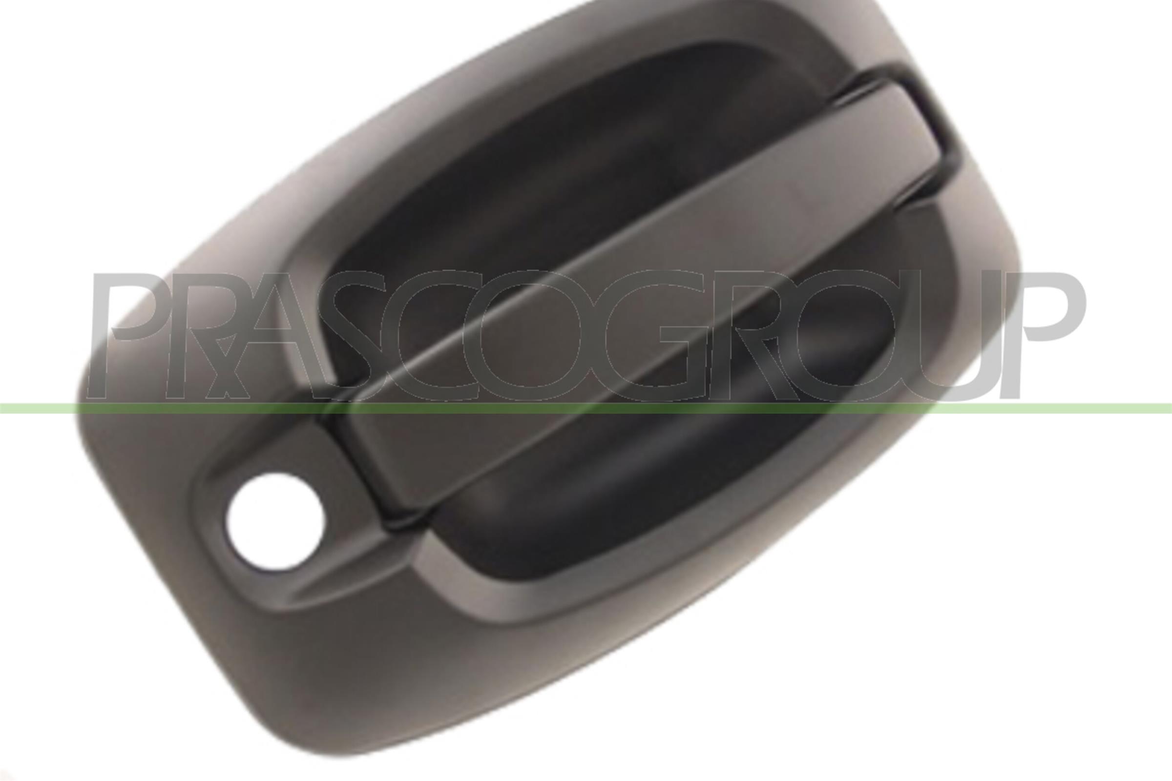PRASCO Türgriff ft9308301 Fahrzeughecktür für Citroën Fiat