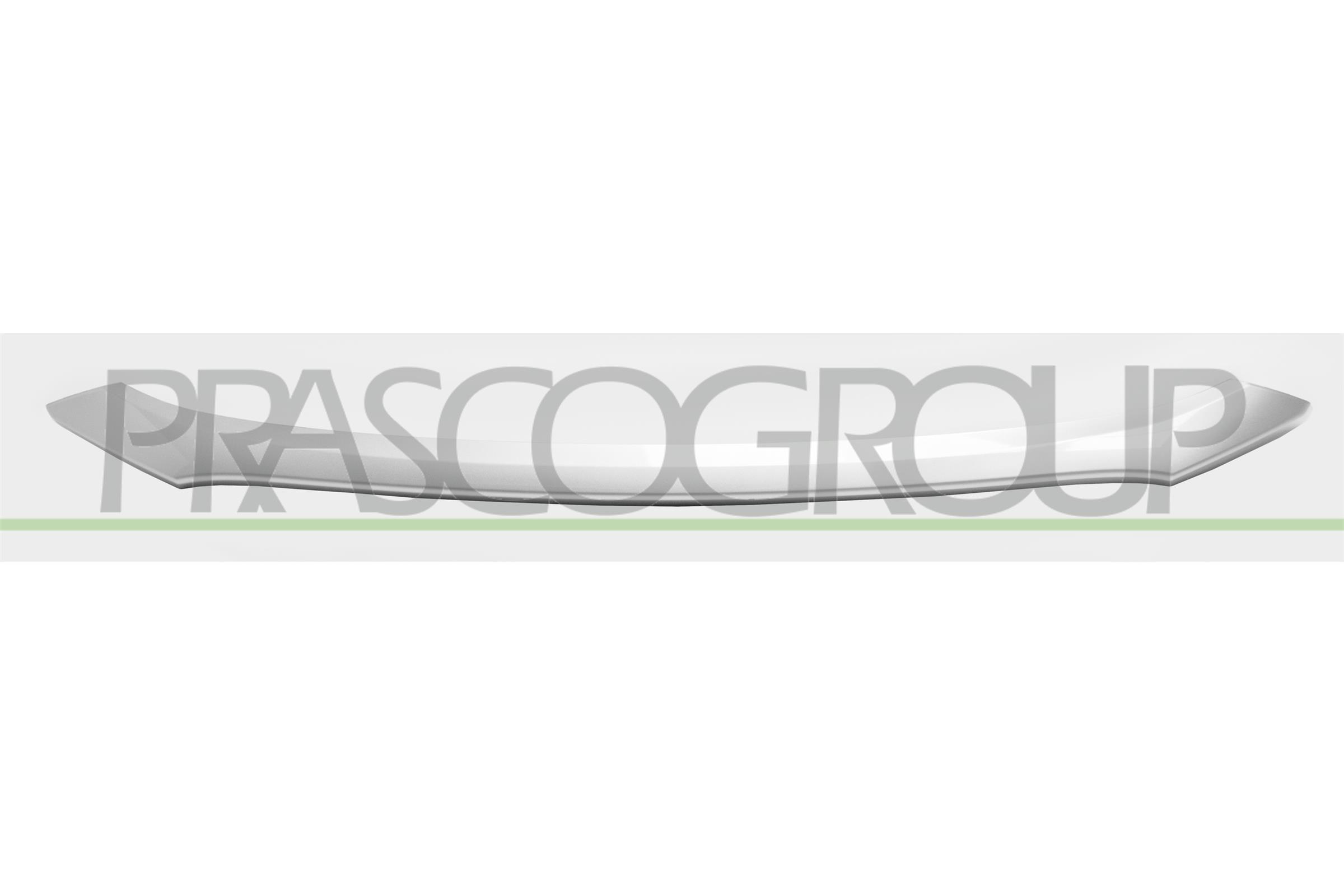 PRASCO Zier-/Schutzleiste, Stoßfänger mb7201247 vorne für MITSUBISHI