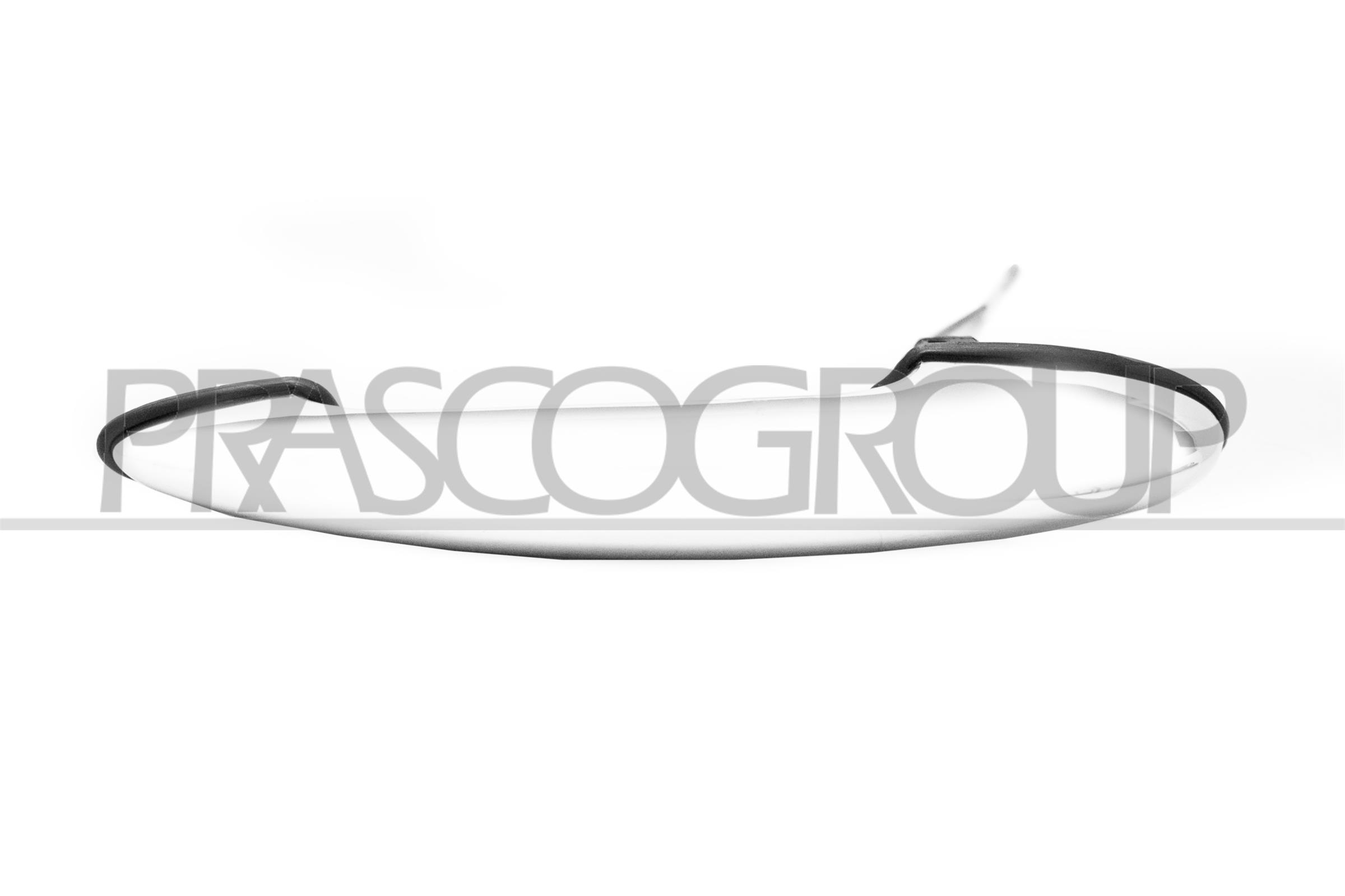 PRASCO Türgriff mn3048006 vorne links für MINI