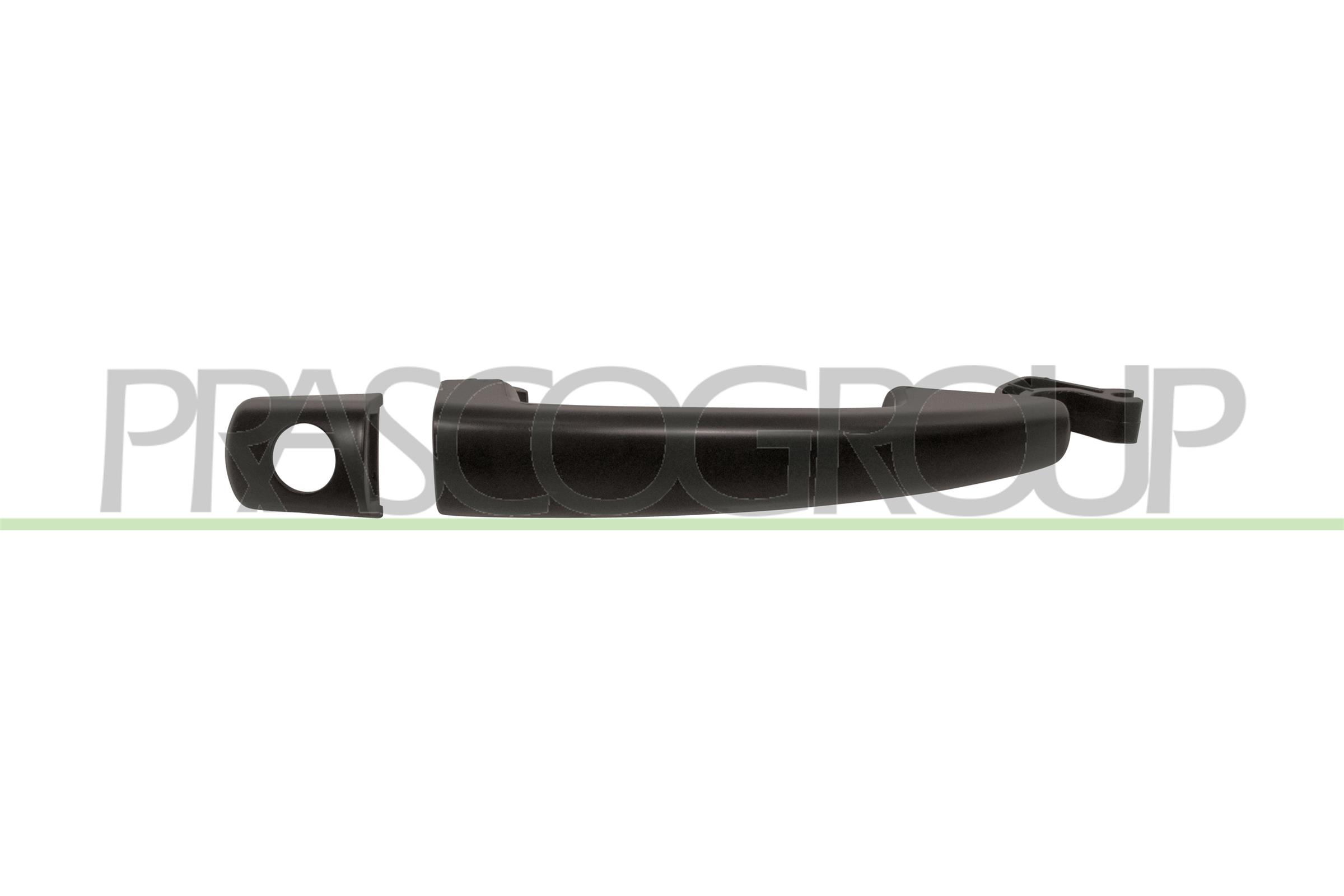 Prasco Türgriff Pg0618004 Vorne Links Für Citroën